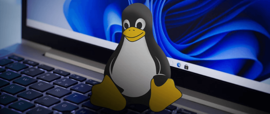 Linux kernel development